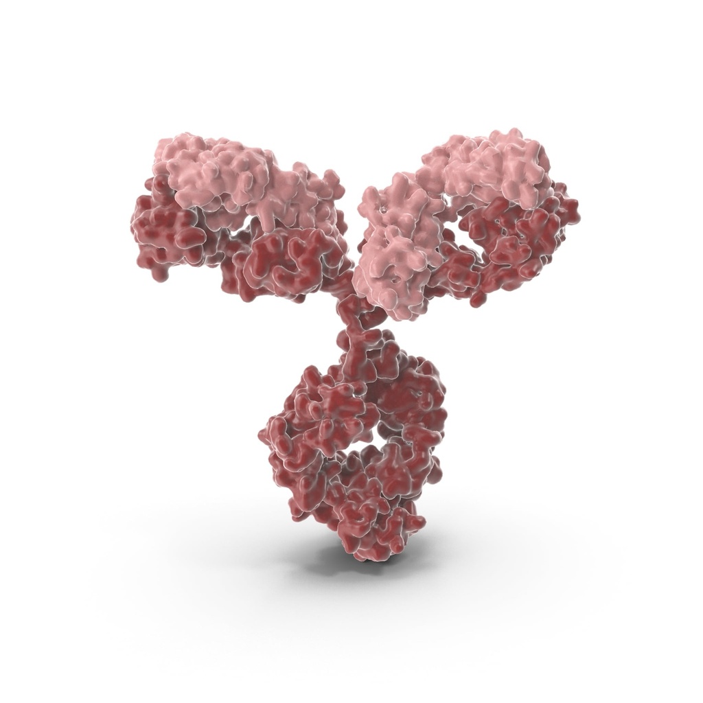 ABI3 Antibody  Biotin conjugated   
