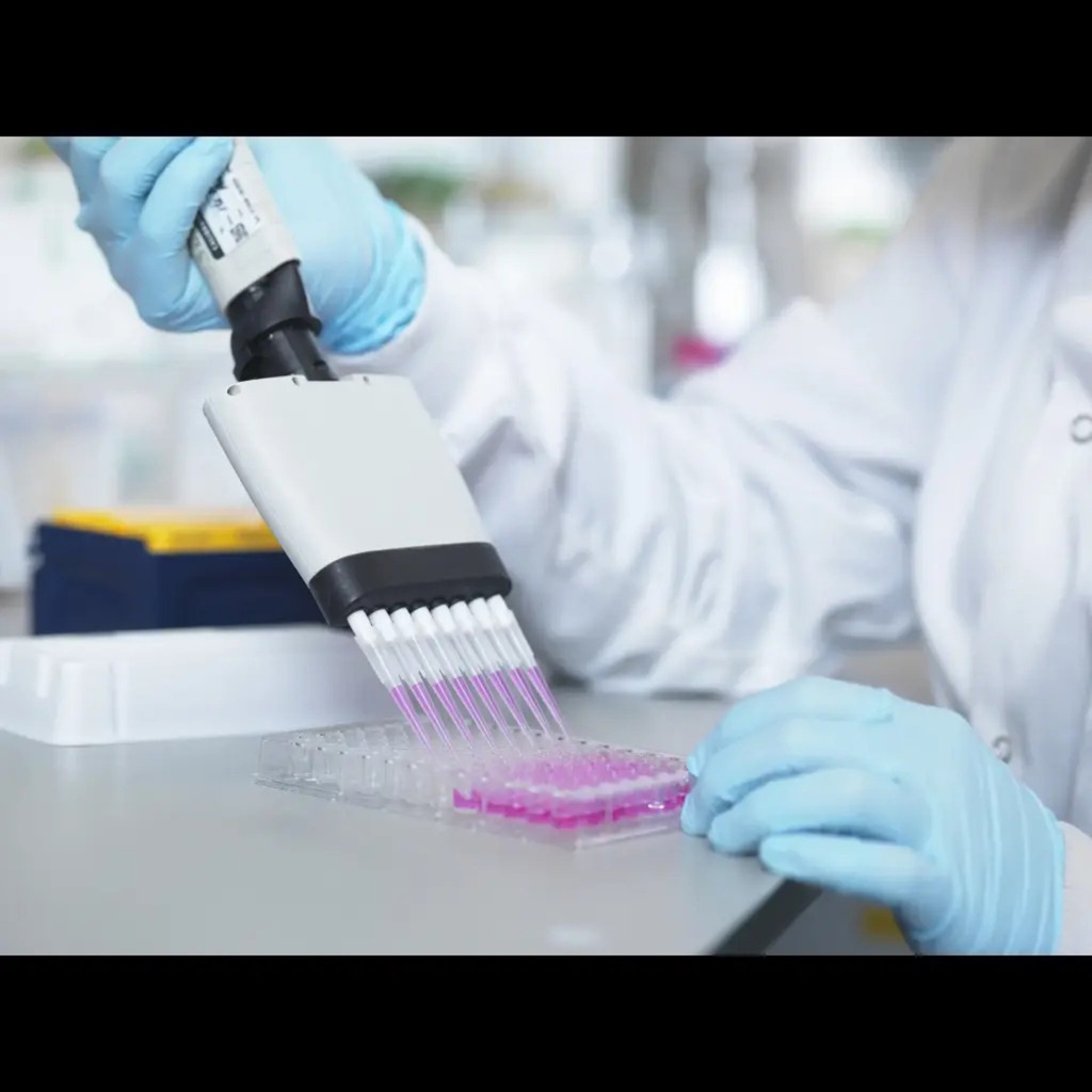 Bovine ACTgamma2(Actin Gamma 2  Smooth Muscle) ELISA Kit