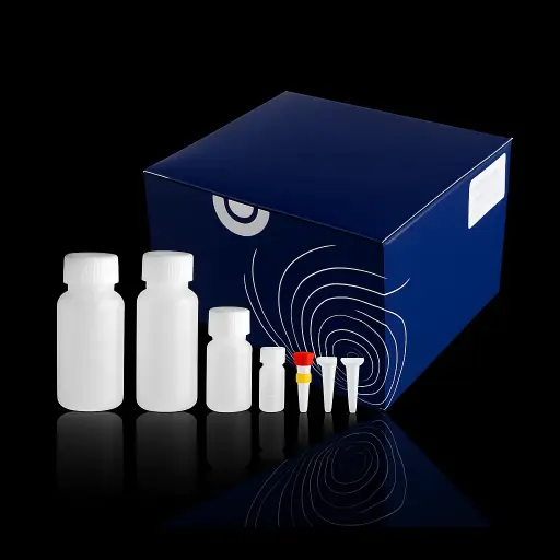  DNA Polymerase (1000 U)