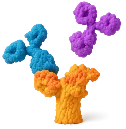  ALPP Mouse mAb (50 µl)