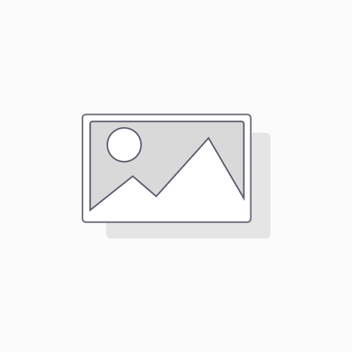  B4GALT6 Rabbit pAb (50 µl)