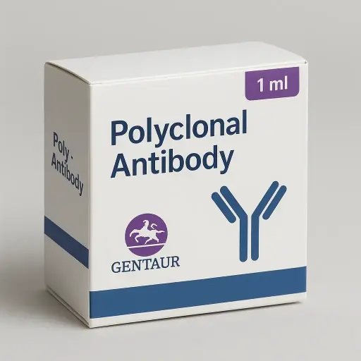 C8orf59 Polyclonal Antibody, HRP Conjugated