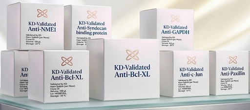 [AGI1168-100] KD-Validated Anti-Bridging integrator 1 Rabbit Monoclonal Antibody