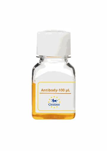[PA019058GA01HU-100 µL] PTPRM Antibody